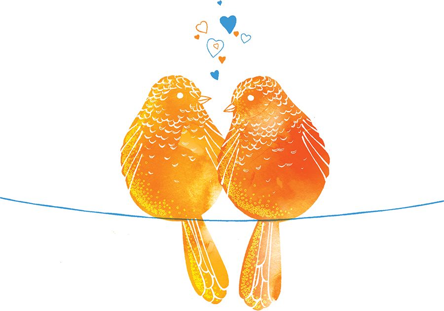 Clear Creation Karnet Swarovski kwadrat Pomarańczowe ptaszki (CL2602)