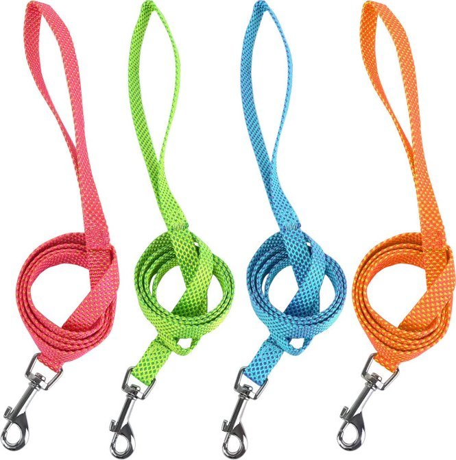 Nobleza Smycz dla psa 4 kolory Trakcja