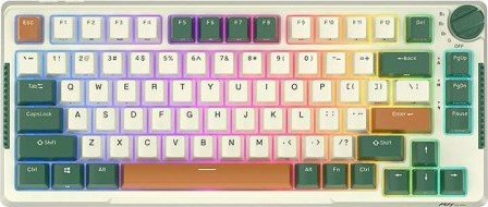 Klawiatura Royal Kludge Klawiatura mechaniczna Royal Kludge RKH81 RGB, Sky cyan switch (zielona)