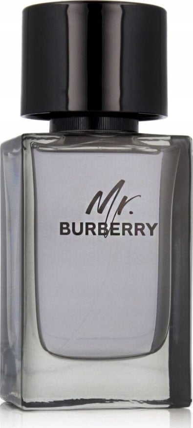 Alkotest BURBERRY Mr. Burberry EDT spray 100ml