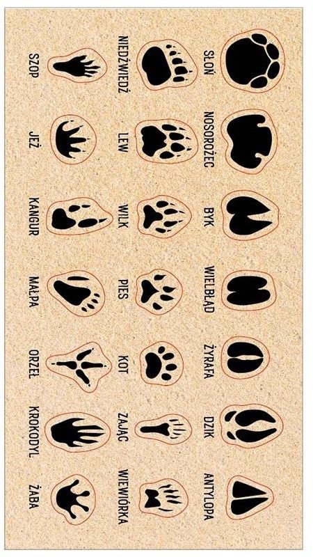 Naklejki Ślady zwierząt