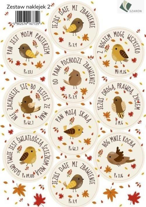Szaron Zestaw naklejek - ptaszki