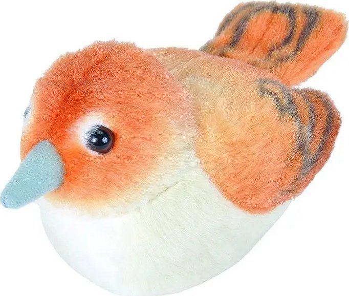 Fremeaux Wild Republic Birds with Sound Nightingale