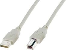 Kabel USB Digitus USB-A - USB-B 1.8 m Beżowy (AK-300102-018-E)