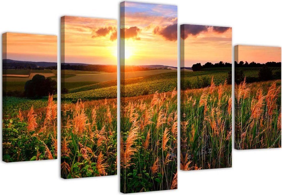 Feeby Obraz pięcioczęściowy na płótnie, Zachód słońca nad łąką - 150x100