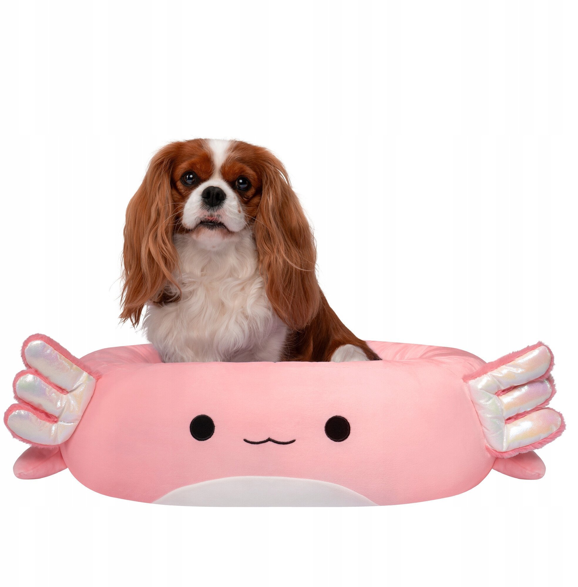 JAS PETS LEGOWISKO M 60CM AXOLOT