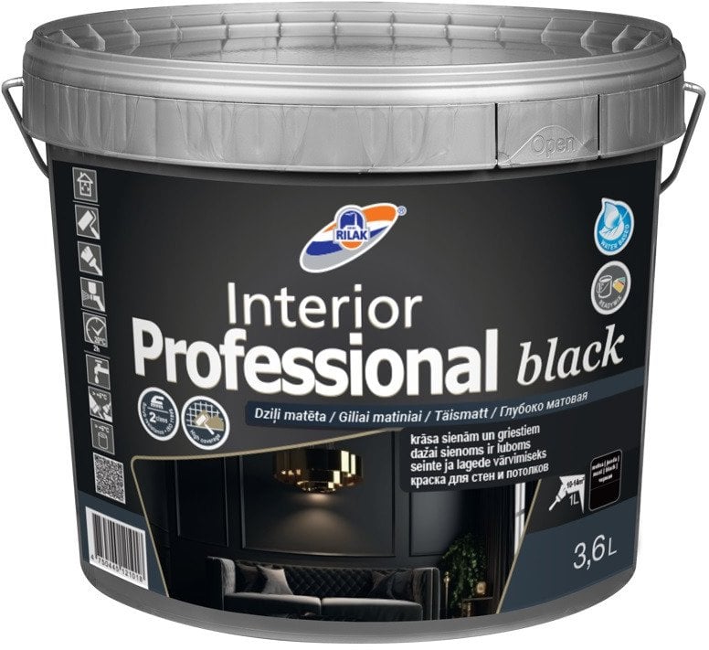 PAINT INTERIOR PROFESSIONAL BLACK 3.6L