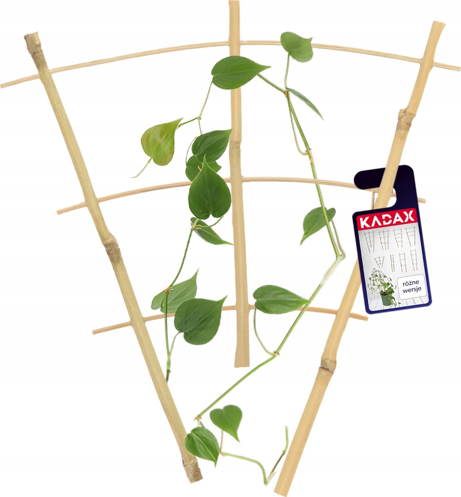 Kadax Drabinka Bambusowa Podpora Pnączy Potrójna 26cm