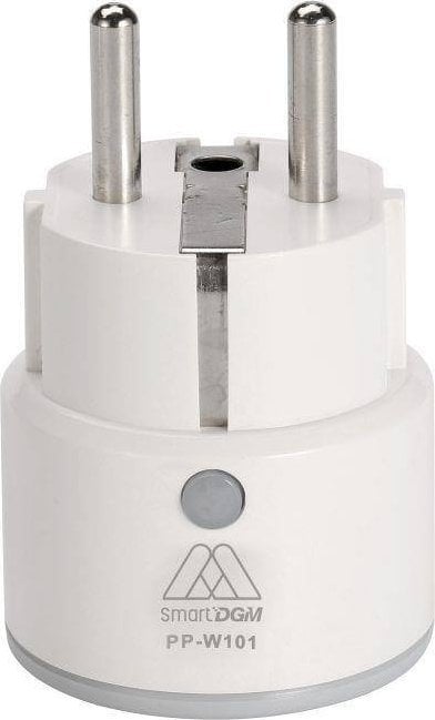 DGM DGM PP-W101