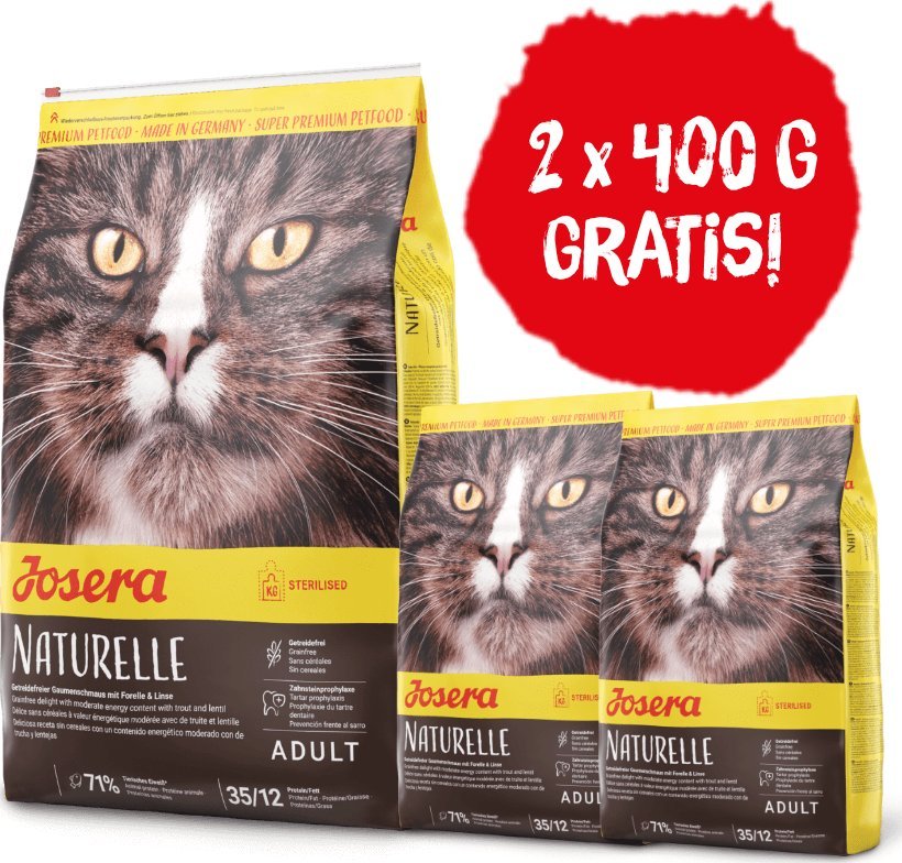 Brak skonfigurowanej nazwy - skonfiguruj lub ustaw ręcznie