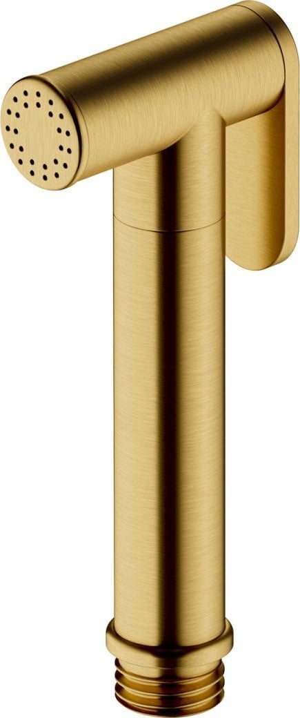 Bidetta Rączka Bidetowa; Kolor: złoty szczotkowany (GLB)