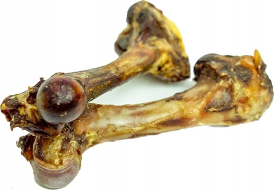 Balto Balto Kość dzika 1szt