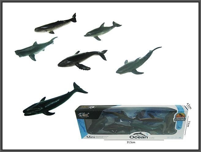 Hipo Zwierzęta morskie 6-rodz pudełko H13621 44966