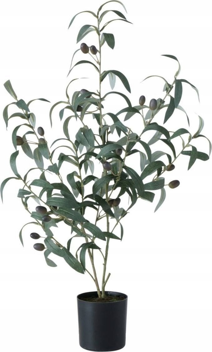 Boltze Sztuczne drzewko oliwne, 70 x 25 cm
