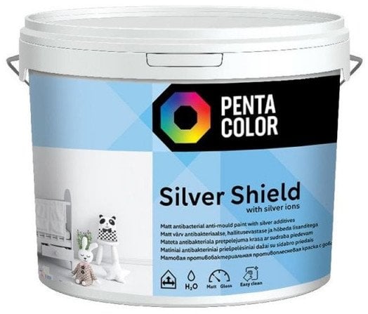 Pentacolor PAINT PENTACOLOR SILVER SHIELD 3L