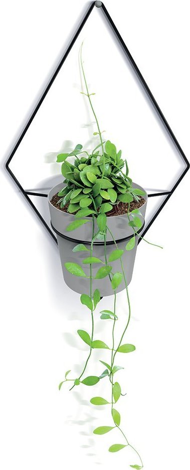 Prosperplast Kwietnik wiszący na ścianę Showy Hanger 38cm