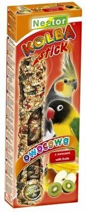 Nestor KOLBA PAPUGA ŚREDNIA OWOCOWA