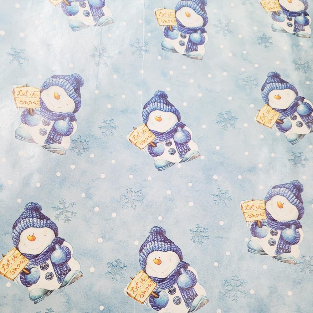 Fastima Papier do pakowania 57cmx2m 2m641