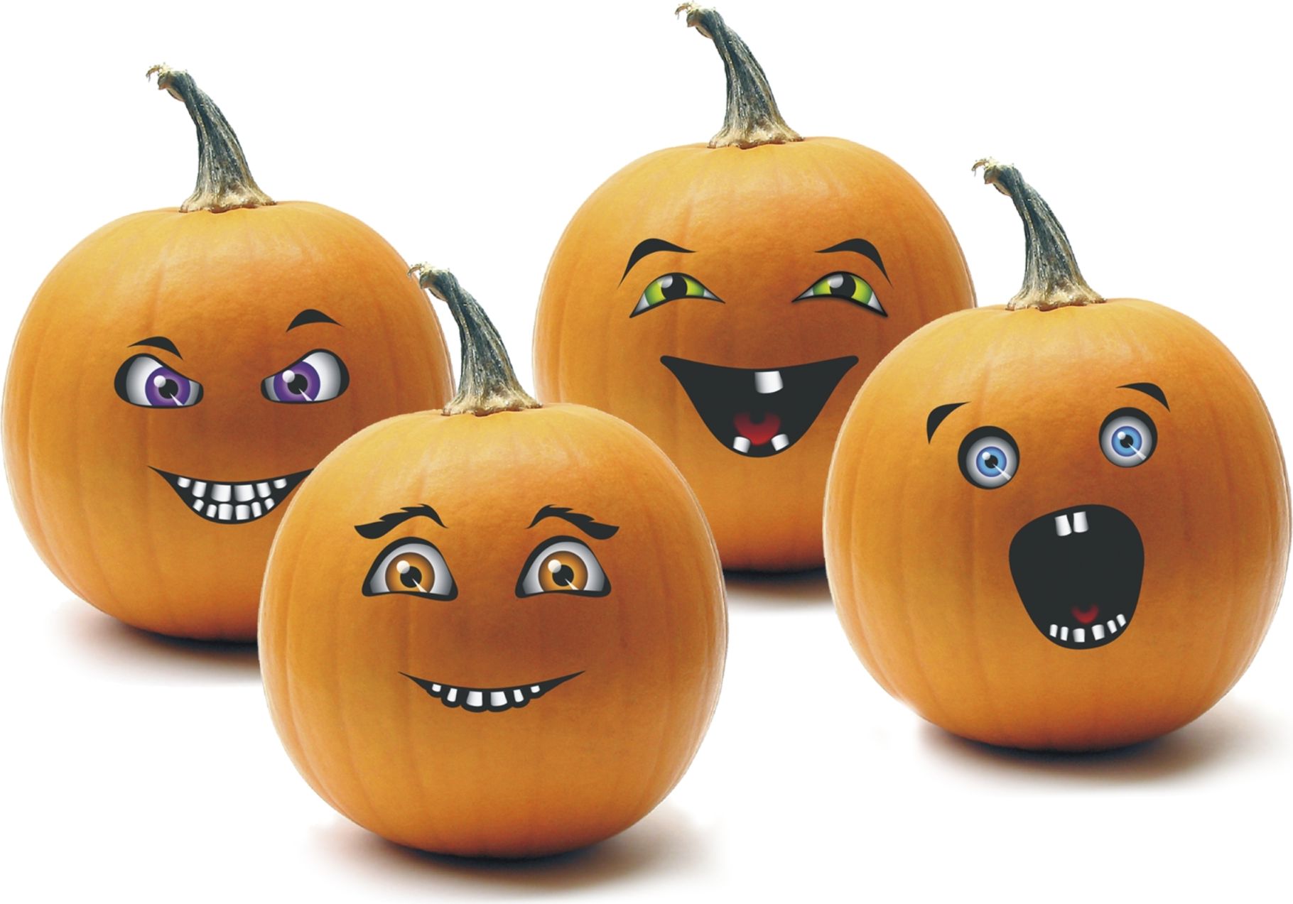 Arpex Naklejki na dynie