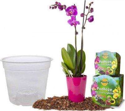 Planta Ziemia do storczyków zestaw z doniczką 1,1 L