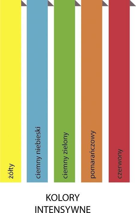 Rey Adagio PAPIER KSERO ADAGIO A4 80gr MIX INTENSYWNY 500ark