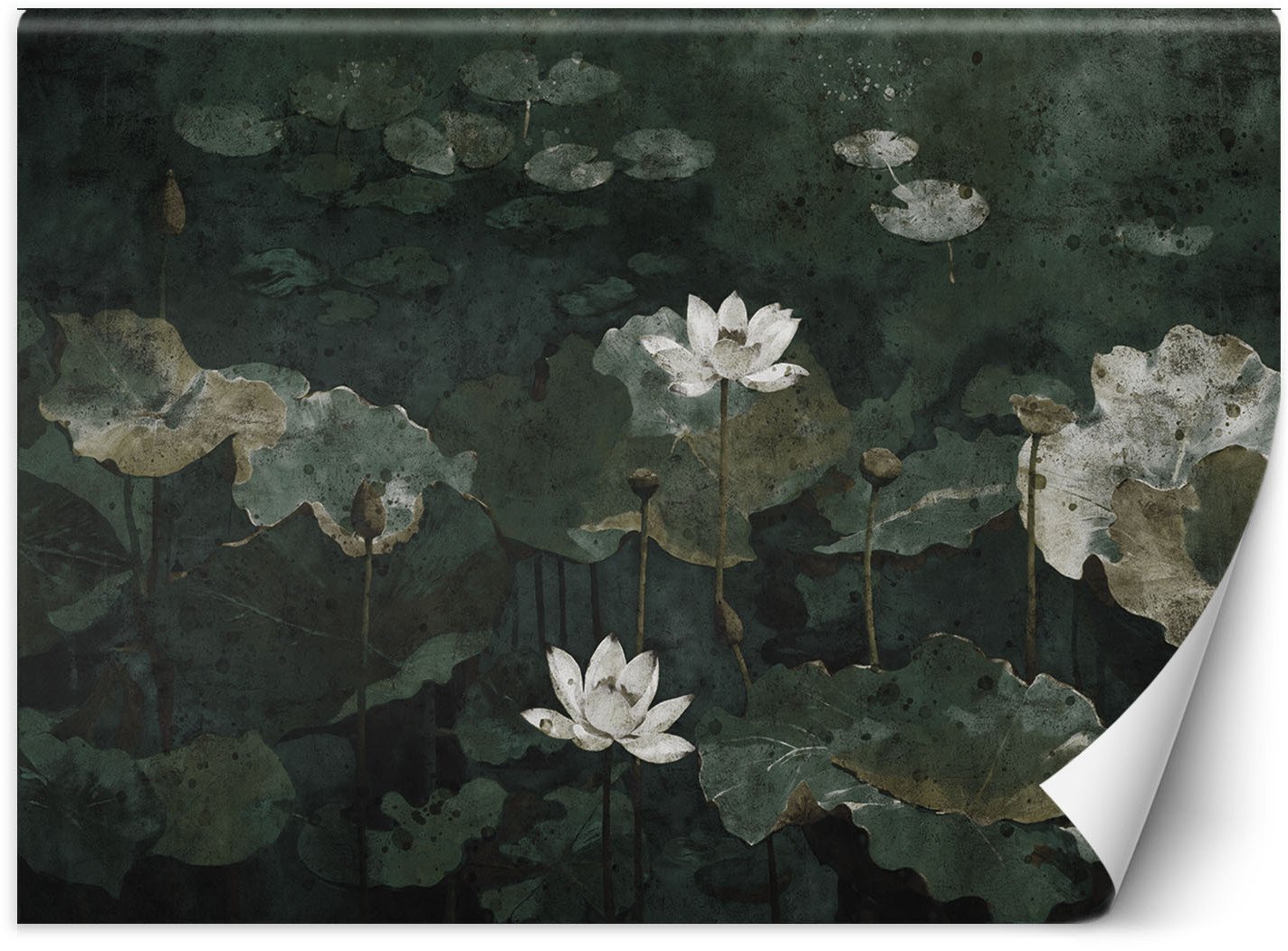 Feeby Fototapeta Lilie wodne vintage 250x175 medium
