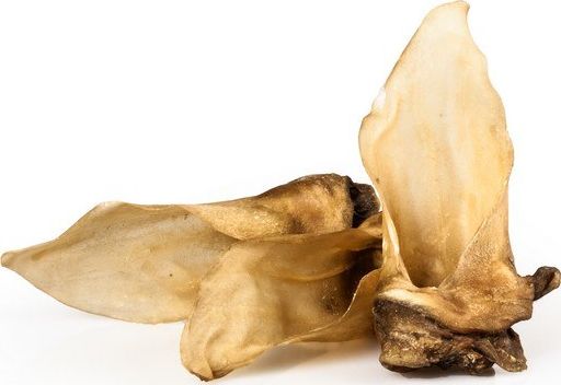 Balto Ucho sarny 5szt.