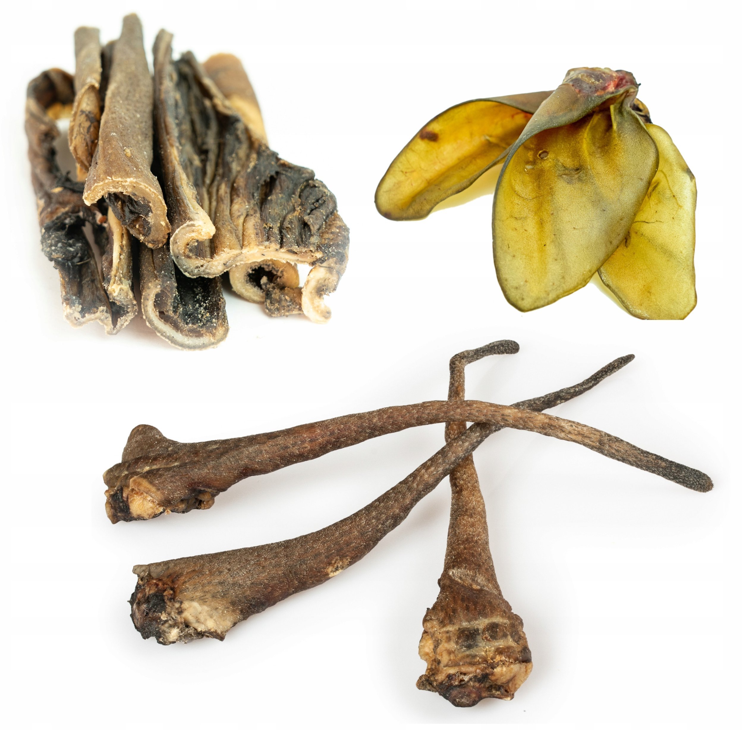 Balto Zestaw gryzaków na długie żucie 6szt