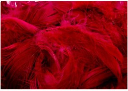 BREWIS PiĂłrka 7g /P7-8/ czerwone