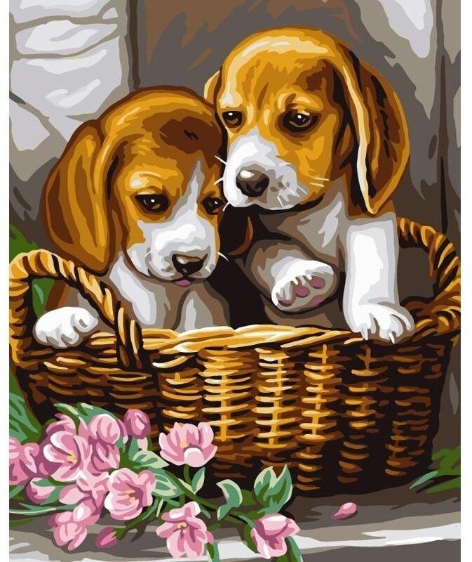Malowanie po numerach 40x50cm Pieski w koszyku