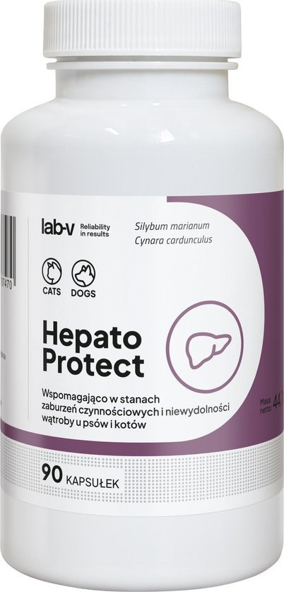 Lab-V LAB-V Hepato Protect Wspomaganie funkcji wątroby dla psów i kotów 90 kapsułek
