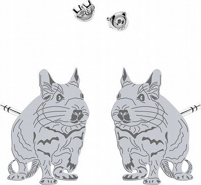 Radziszewska Jewellery Kolczyki Srebrne z Koszatniczką Wkrętki Dedykacja Prezent Dziecko