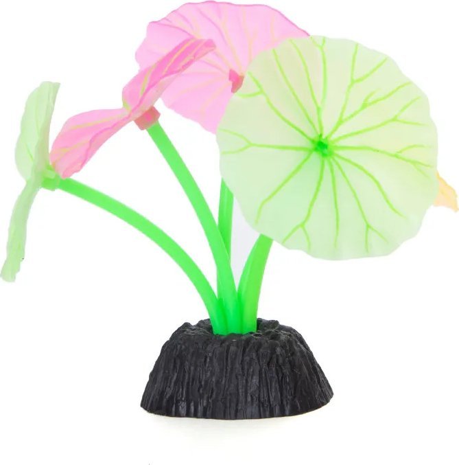 Nobleza Odblaskowe rośliny wodne Odblaskowe rośliny wodne