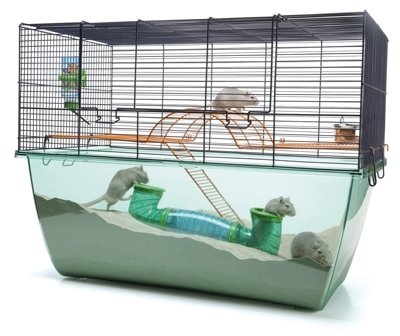 Savic Habitat XL 70x37x56 niebieski wire