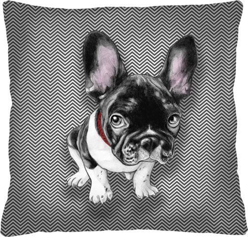 Arco PODUSZKA 40X40 CHESTER