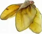 Arami Arami B Przysmak Dla Psa Ucho Wołowe 1szt