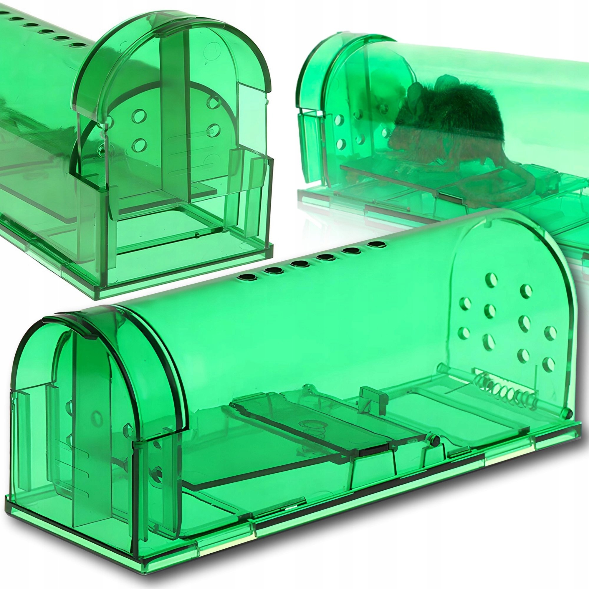 Pułapka przeciwko szczurom PrzydaSie 0,167 kg