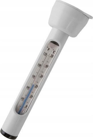 Intex Termometr basenowy (29039)