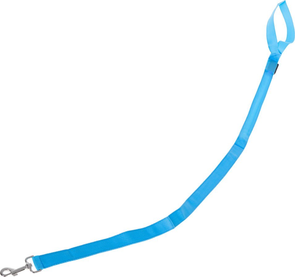 Smycz dla psa świecąca LED 2,5x120cm niebieska