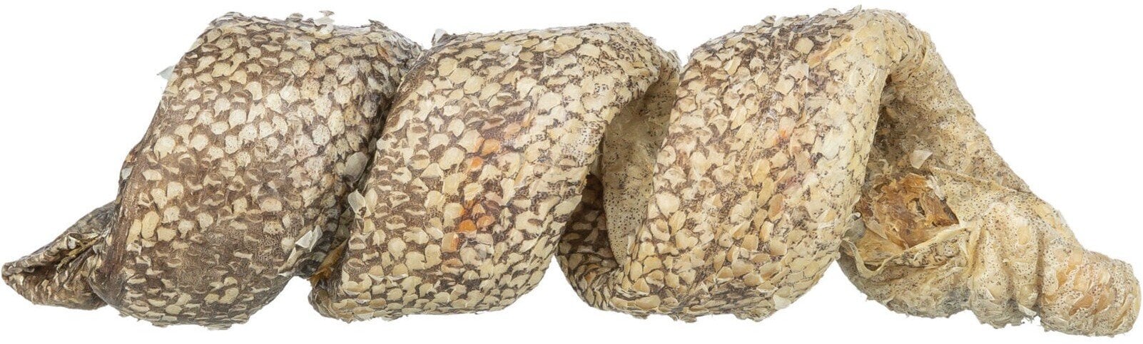 Trixie Denta Fun Curl, przysmak dla psa, z dorszem, 12 cm/25g, 50szt/OPAK