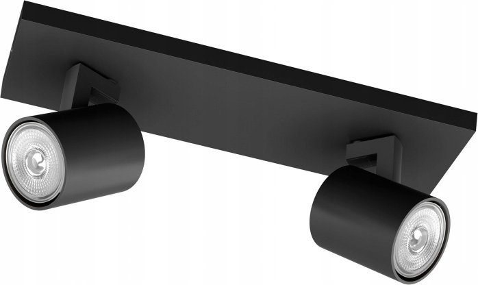 Lampa sufitowa Philips LAMP RUNNER BAR/TUBE BLACK 2X20W 230V