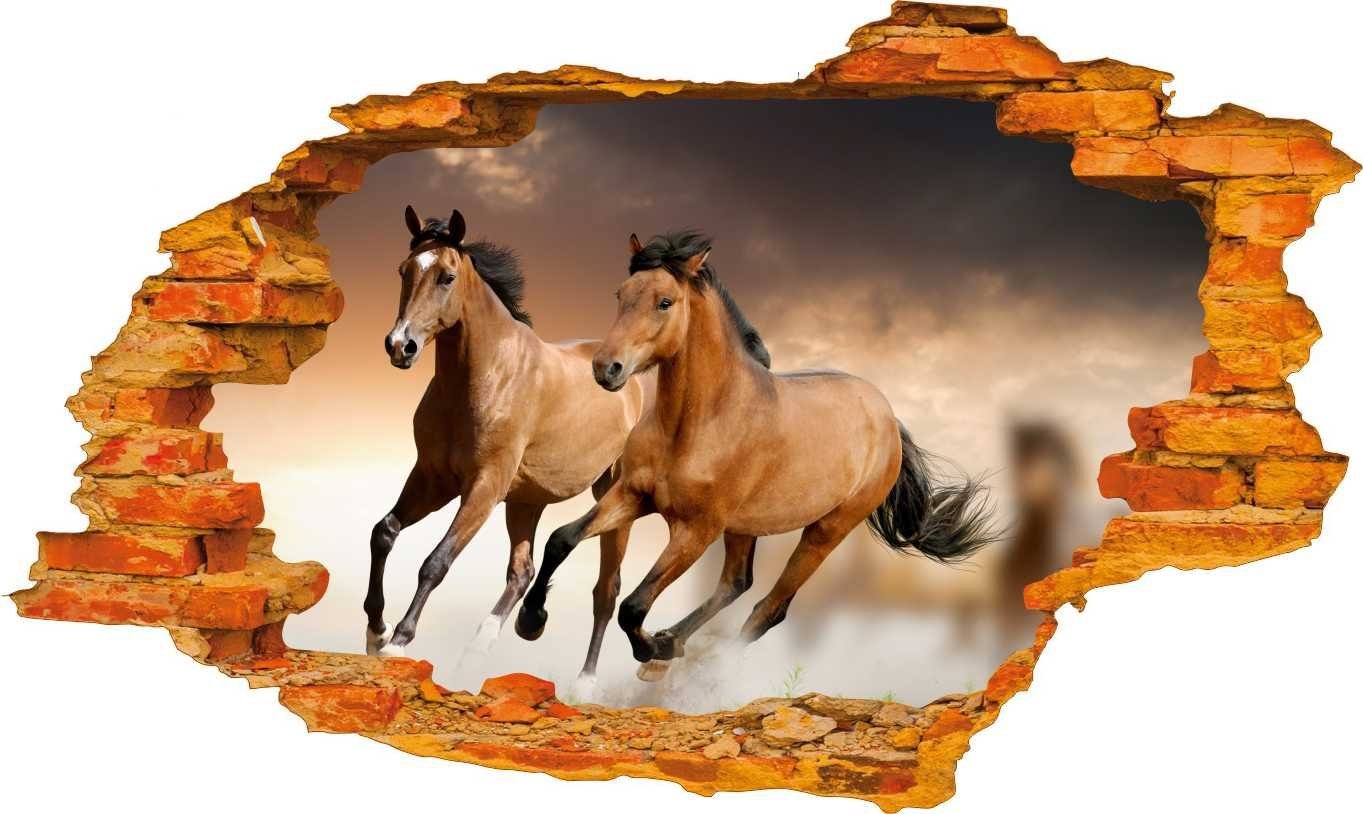 naSciane Naklejka ścienna 3D Koń Konie Konik XXL