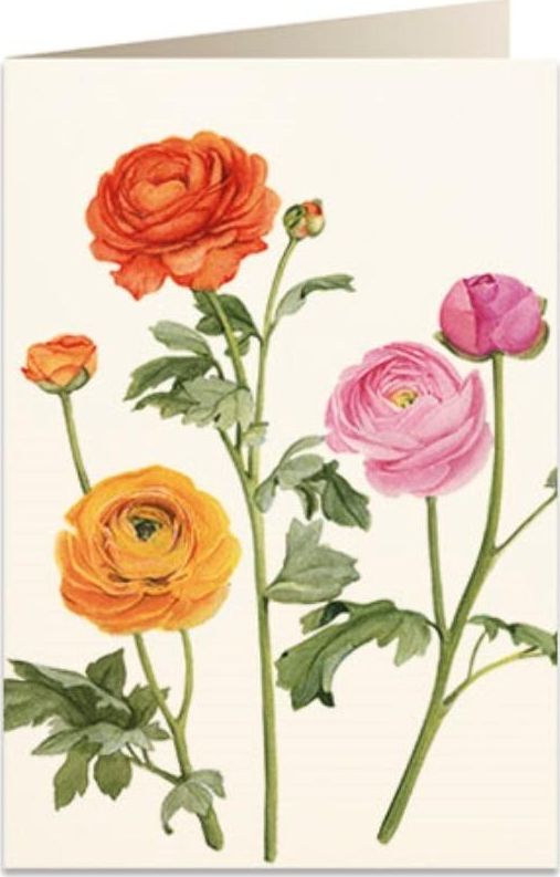 Tassotti Karnet B6 + koperta 5892 Jaskier