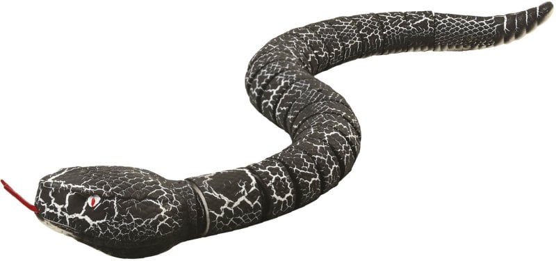 Snake radio controlled