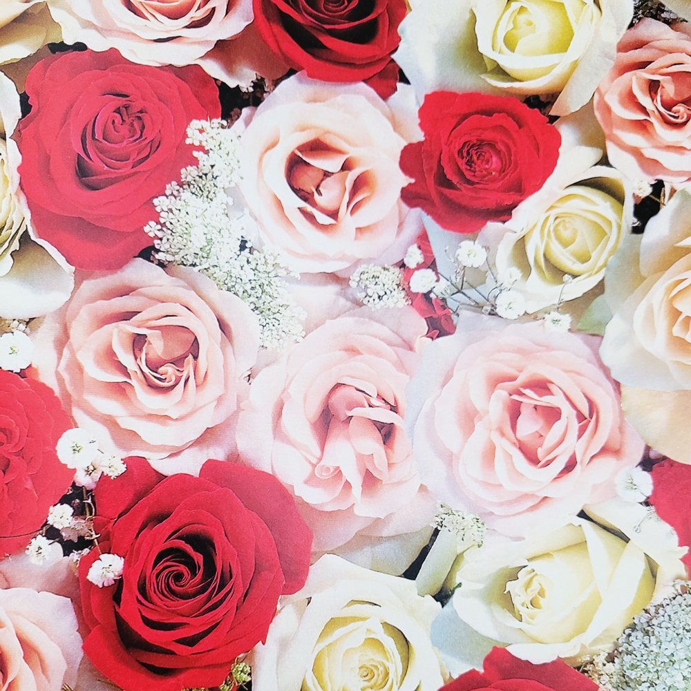 Fastima Papier urodzinowy róże do pakowania 57cmx2m 2m516