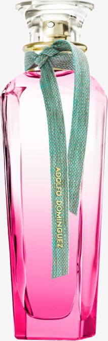 Adolfo Dominguez Agua Fresca Gardenia Musk EDT 120 ml