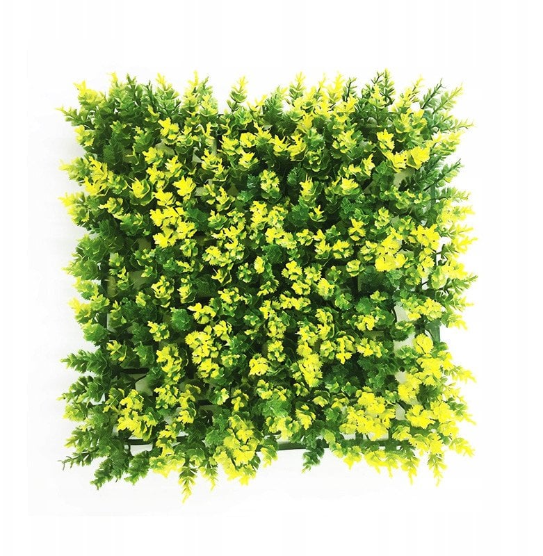 Aqua Natura, ro�lina, do dekoracji akwarium, zielono-��ta, plastikowa, 25 cm x 25 cm , morski dywan