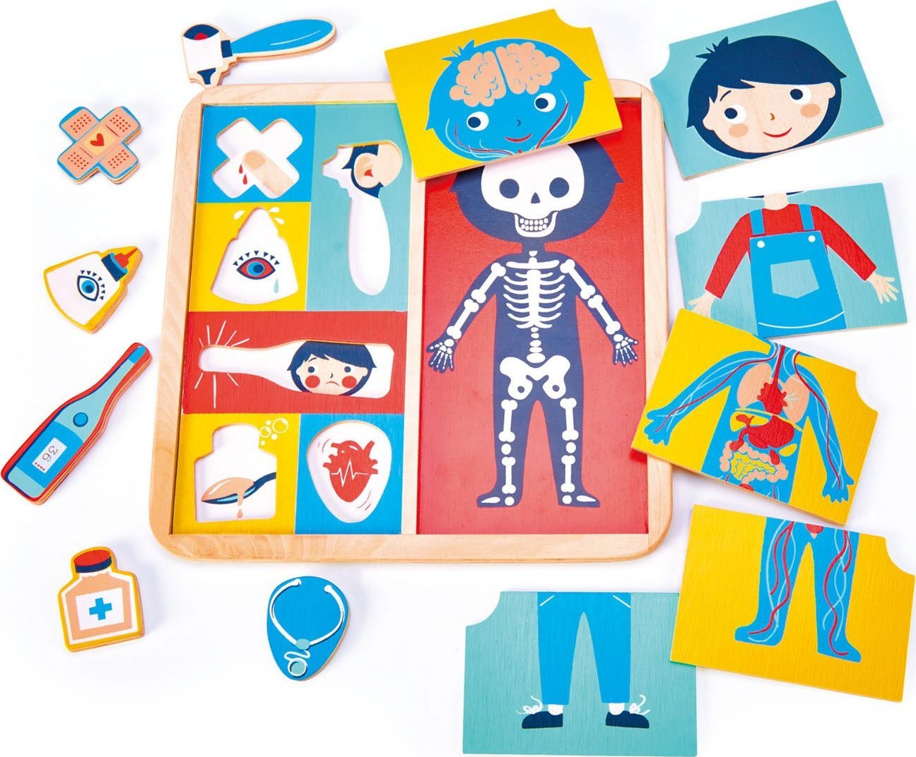 Tender Toys Drewniana układanka edukacyjna Ciało człowieka Tender Leaf Toys