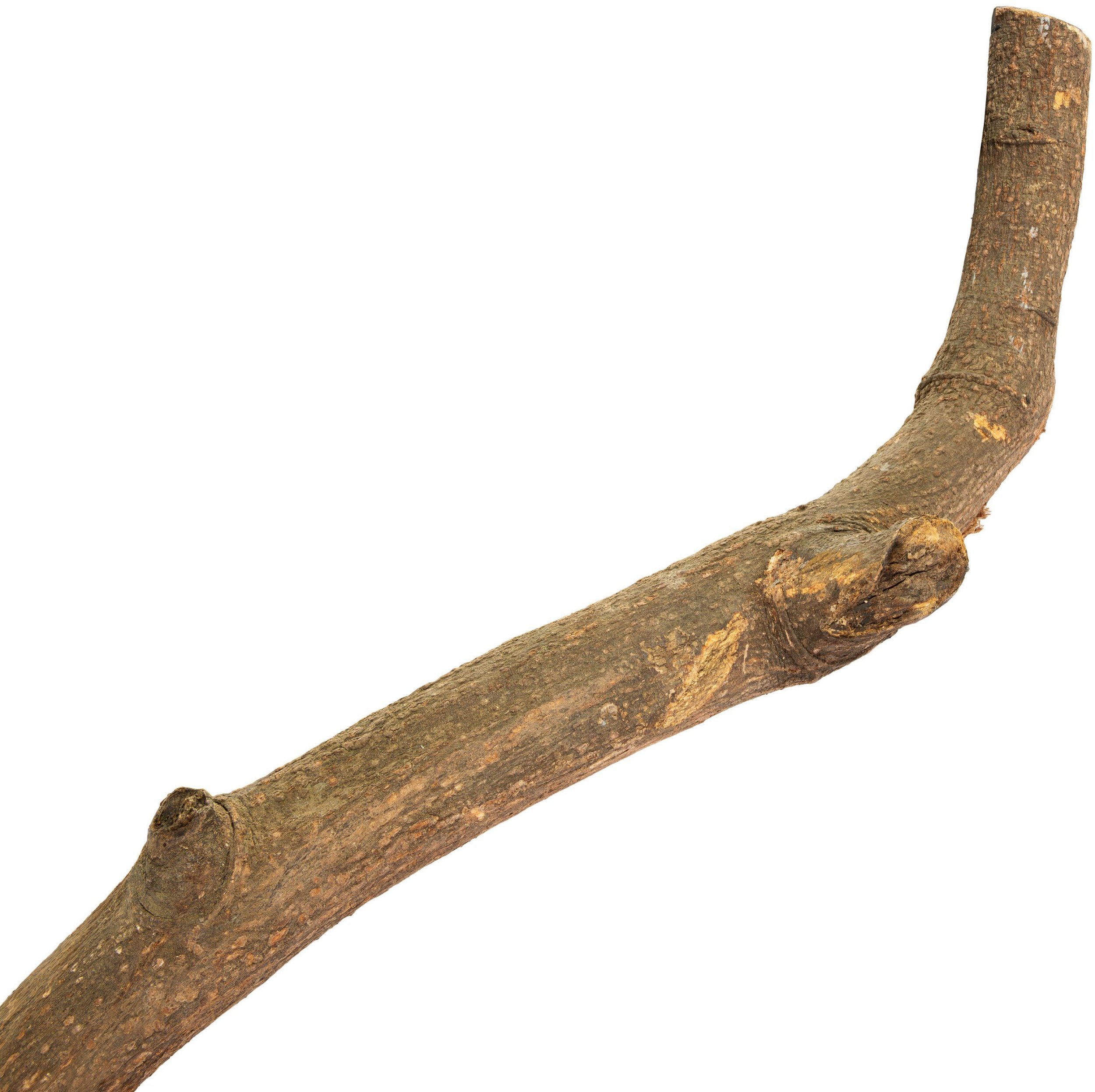 Drewno Mountain Tree and Vine Mix Rozmiar�w