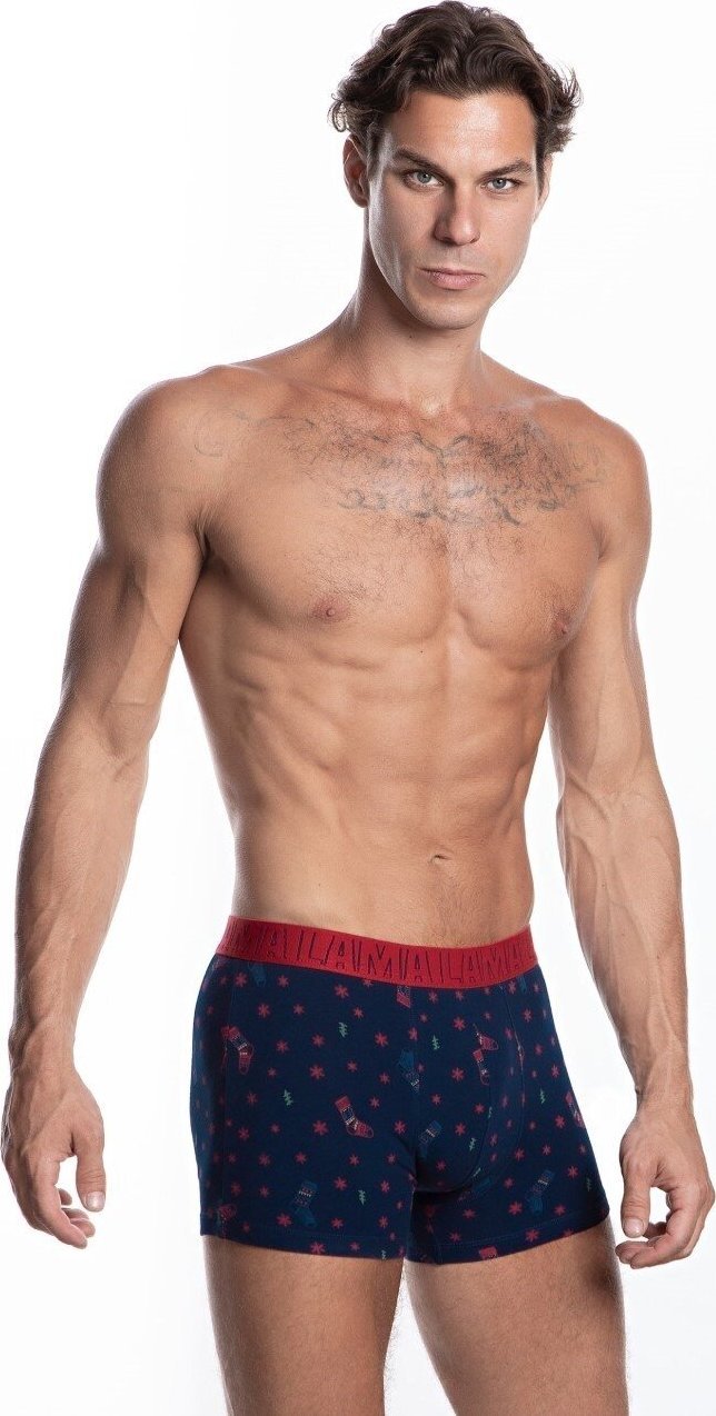 Bokserki majtki męskie M-1053 SZG 2P XL